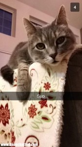 image_chat