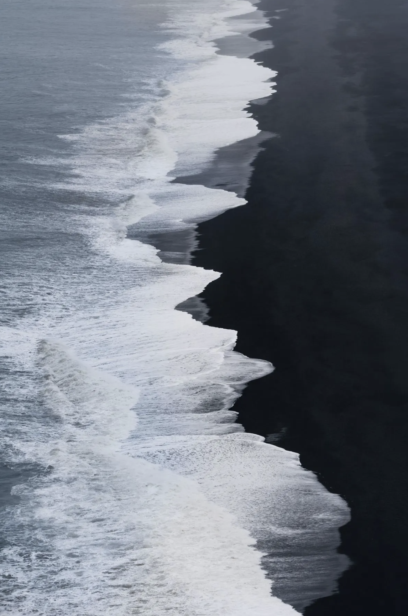 Screenshot 2025-02-24 at 12.23.11 PM (1) (1)